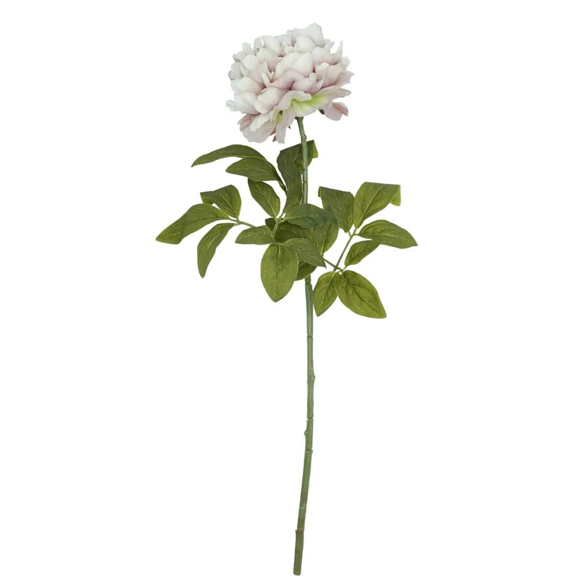 Ramo Peonia Artificiale h 72 - 2 colori disponibili