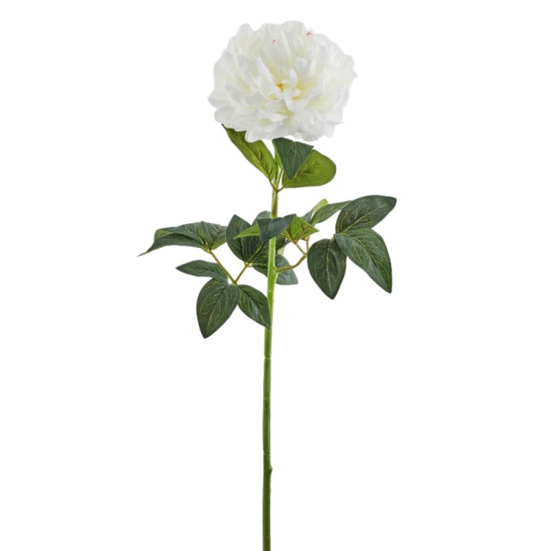 Ramo Peonia Prix Artificiale - h66 cm - EDG213649.12