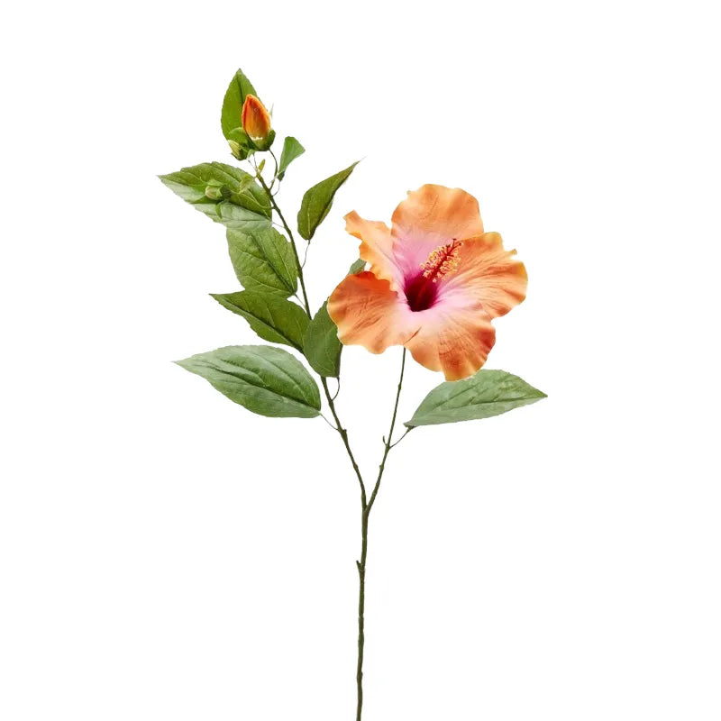 HIBISCUS REX RAMO REAL-TOUCH 68 EDG - 3 COLORI DISPONIBILI