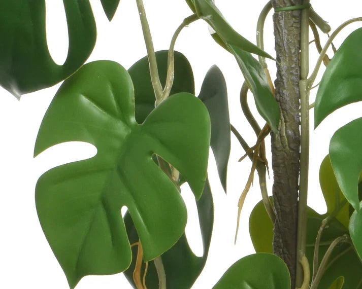 PIANTA ARTIFICIALE MONSTERA REAL-TOUCH IN VASO PLASTICA H 64 CM - GAS3022293-50