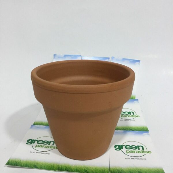 VASO BONSAY CIOTOLA BOUQUET PIANTE GRASSE TERRACOTTA COTTO ABRUZZESE CM  29X8 H - Green Paradise Napoli